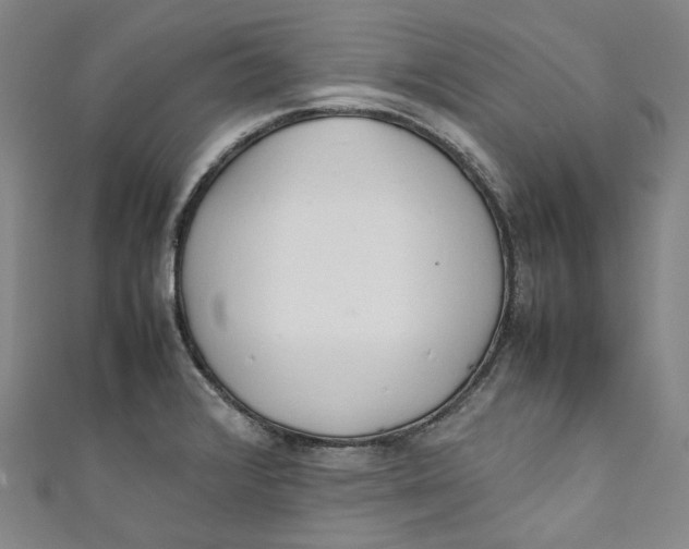 X0000111211376200907221142