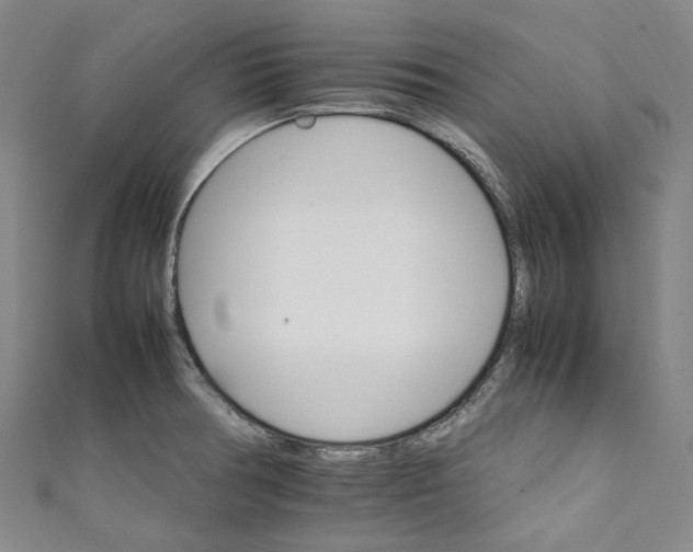 X0000111211378200907221142