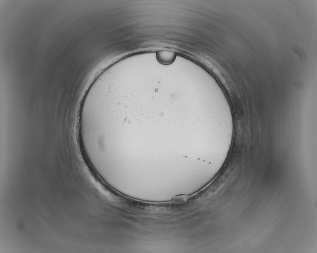 X0000111211379200907221142