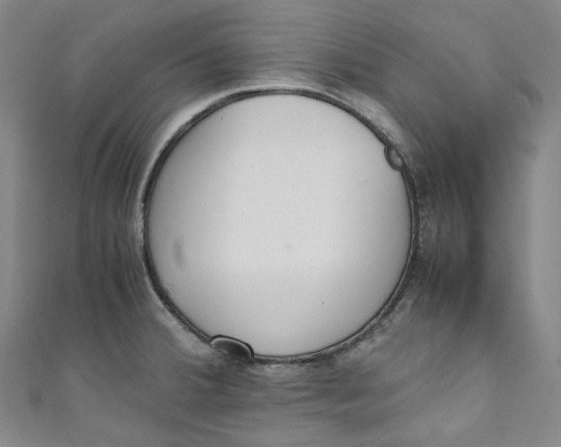 X0000111211380200907221142