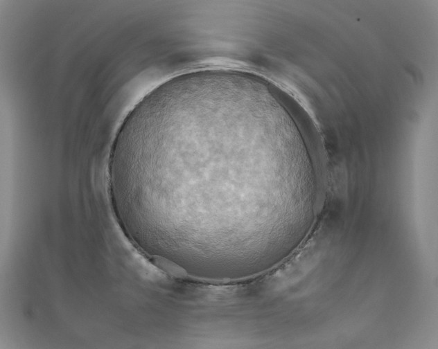 X0000111211381200907221142