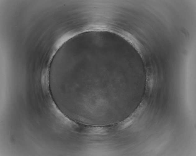 X0000111211382200907221142