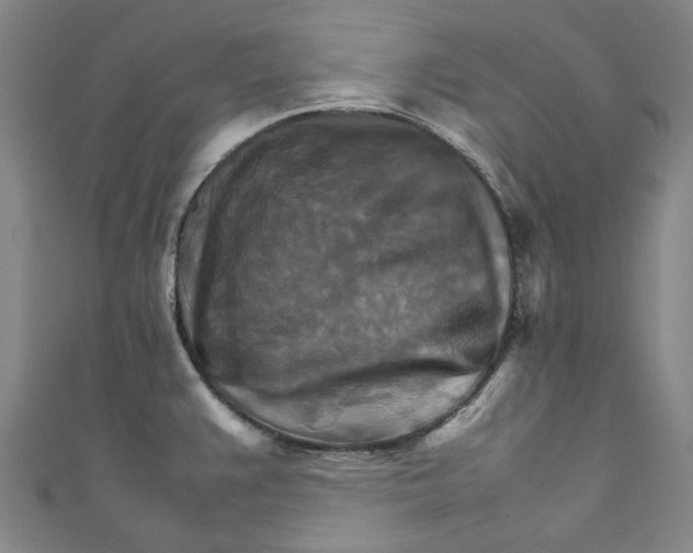 X0000111211383200907221142