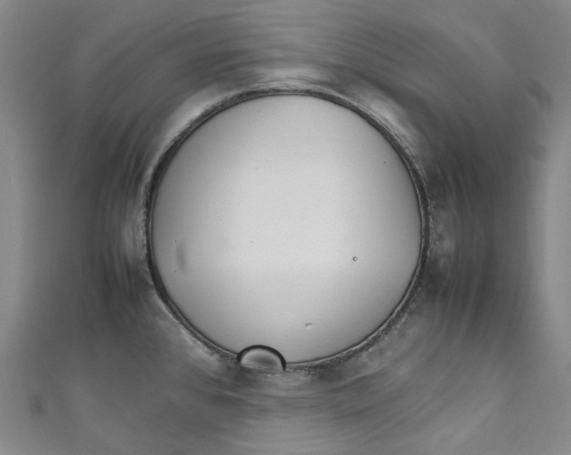 X0000111211384200907221142