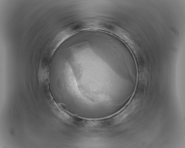 X0000111211385200907221142