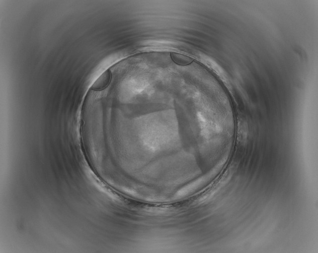 X0000111211386200907221142