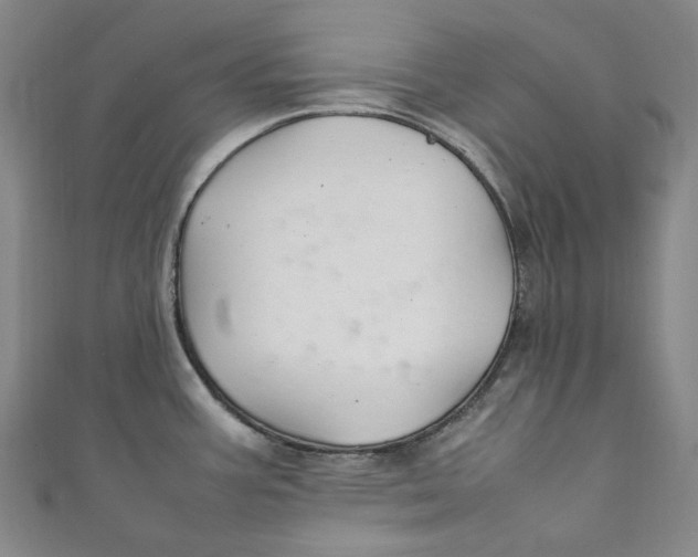 X0000111211387200907221142