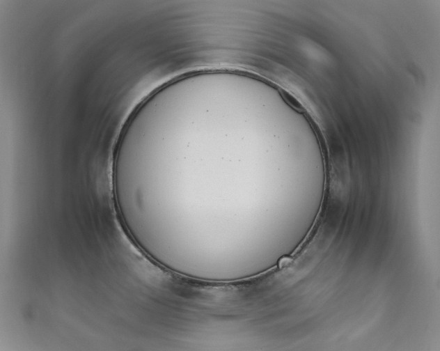 X0000111211388200907221142