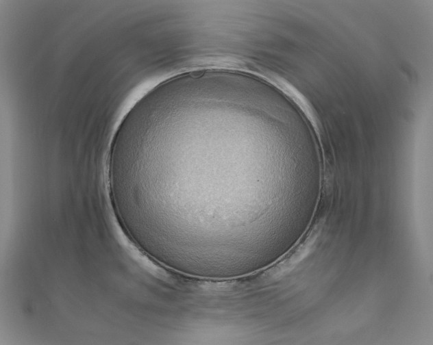 X0000111211389200907221142