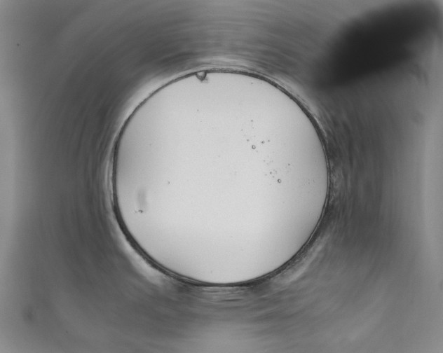 X0000111211391200907221142