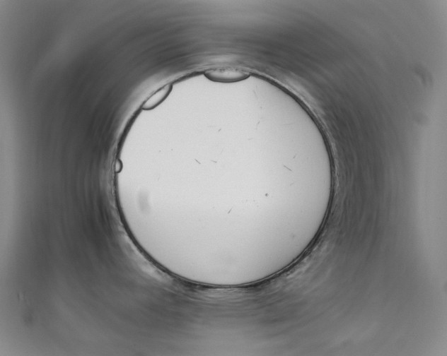 X0000111211392200907221142