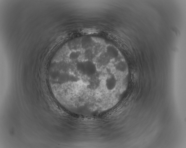 X0000111211393200907221141