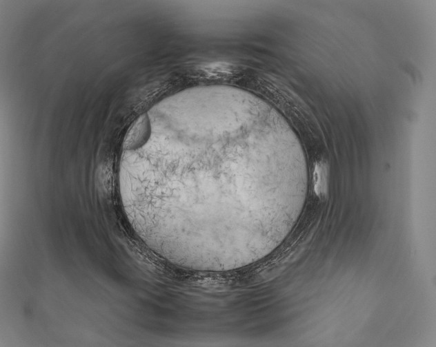 X0000111211395200907221141