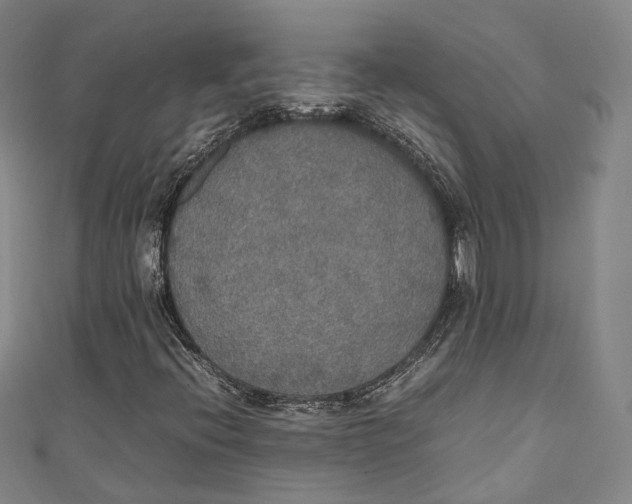 X0000111211396200907221141