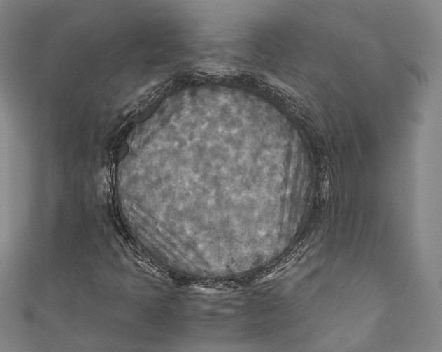 X0000111211397200907221141