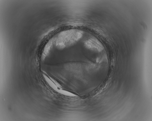 X0000111211398200907221141