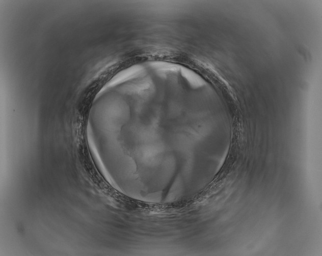 X0000111211399200907221141