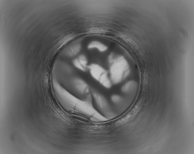 X0000111211401200907221141