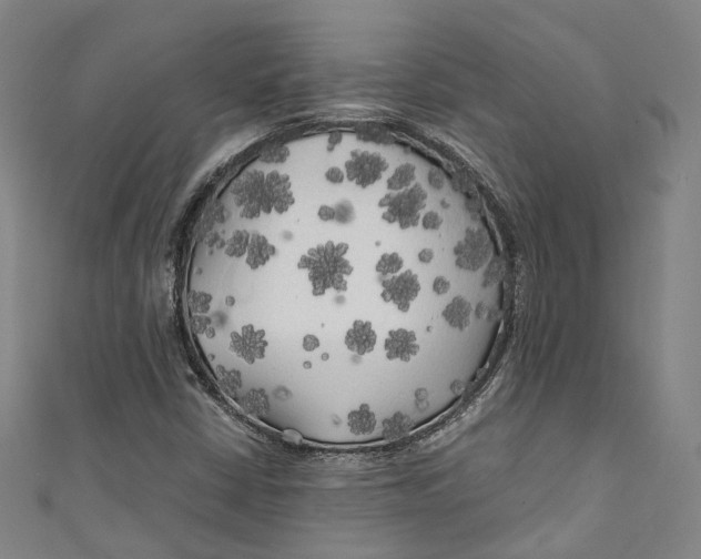 X0000111211402200907221141