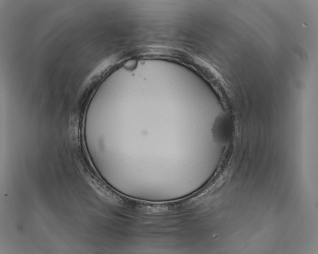 X0000111211403200907221141