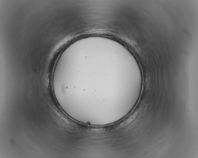 X0000111211406200907221141