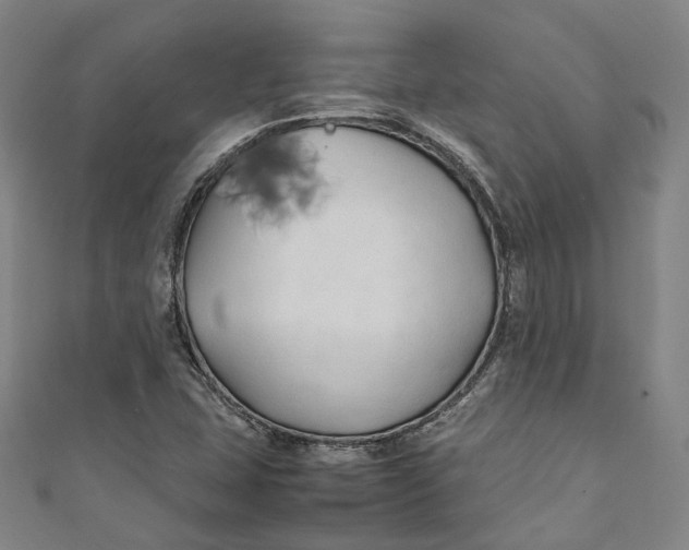 X0000111211407200907221141