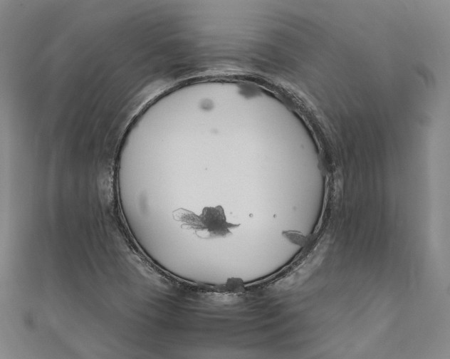 X0000111211409200907221141