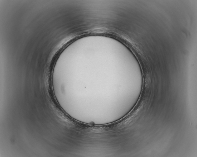 X0000111211410200907221141