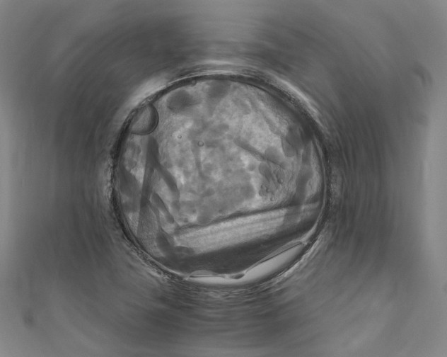 X0000111211411200907221141