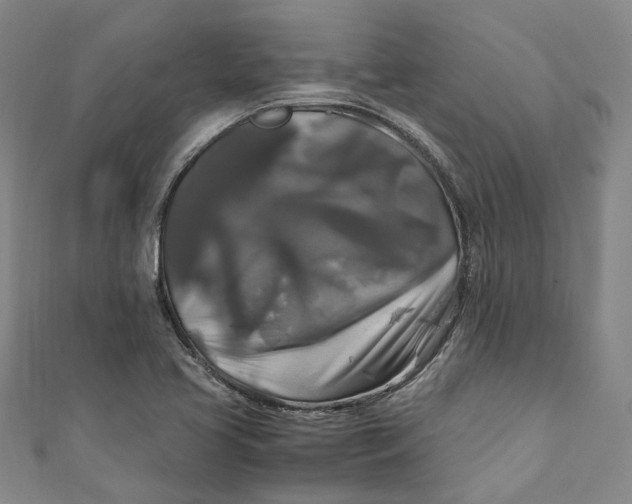 X0000111211413200907221141