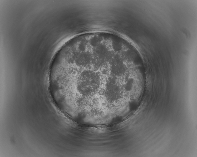 X0000111211415200907221141