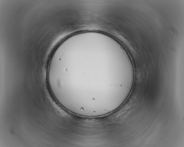 X0000111211416200907221141