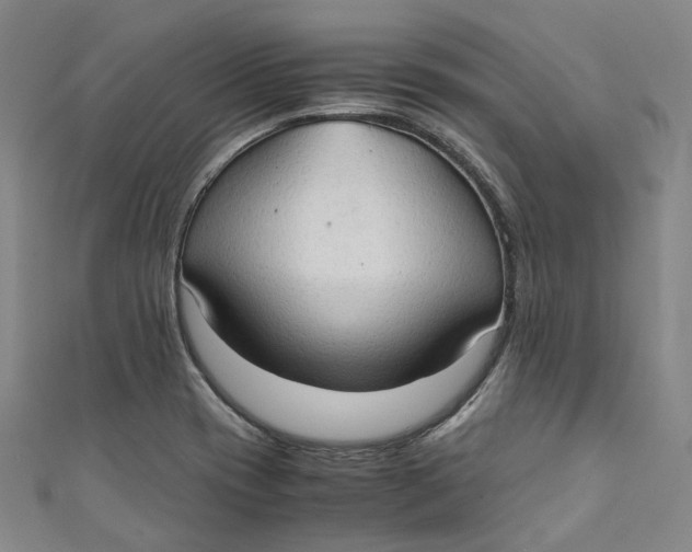 X0000111211417200907221141