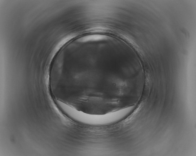 X0000111211418200907221141