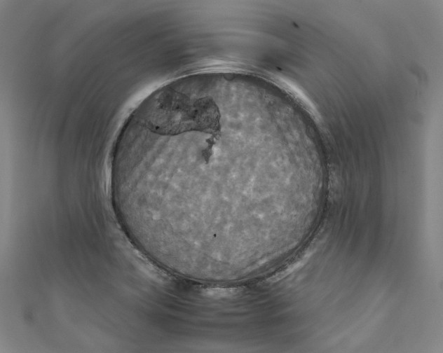 X0000111211419200907221141