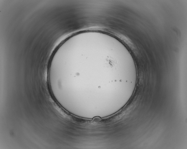 X0000111211420200907221141