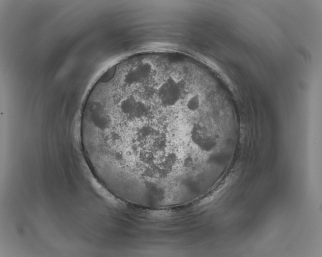 X0000111211421200907221141