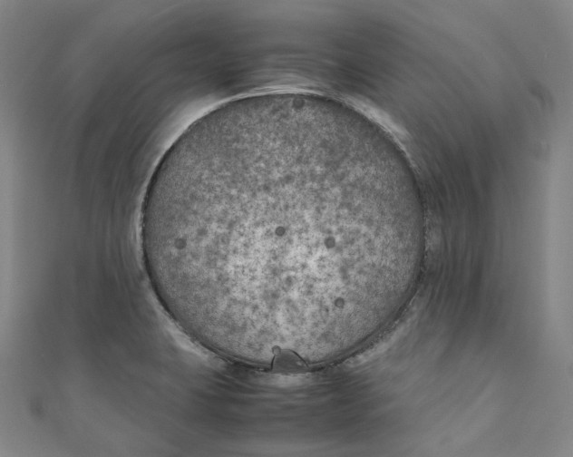 X0000111211423200907221141