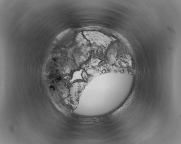 X0000111211425200907221141