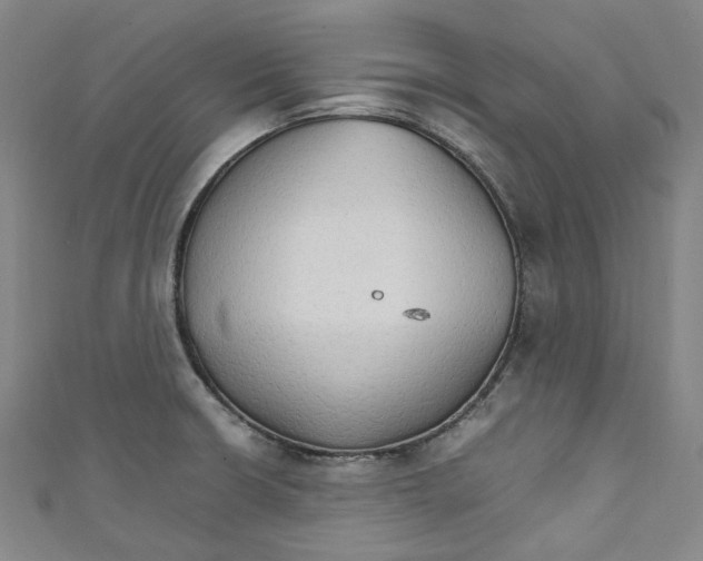 X0000111211426200907221141