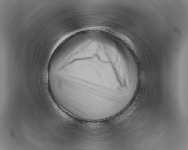 X0000111211428200907221141