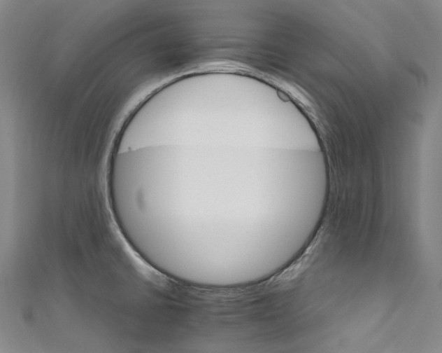 X0000111211430200907221141