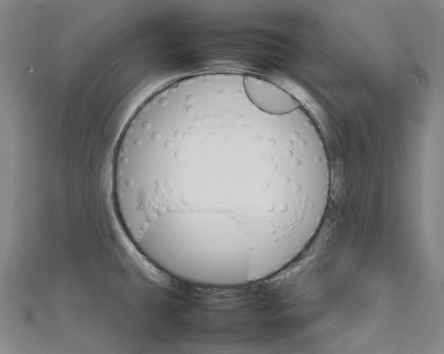 X0000111211431200907221141