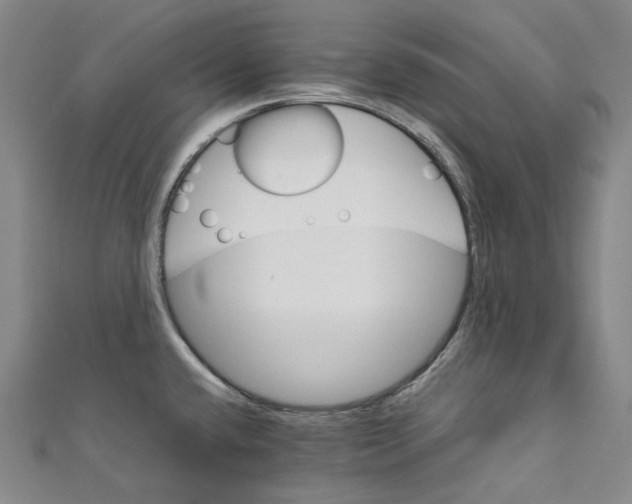 X0000111211432200907221141