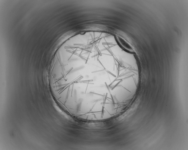 X0000111211433200907221142