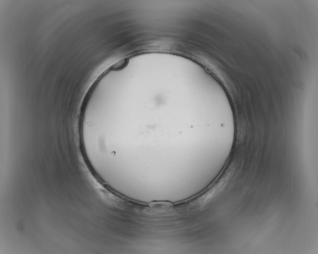 X0000111211434200907221142