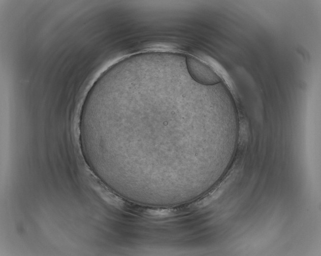 X0000111211435200907221142