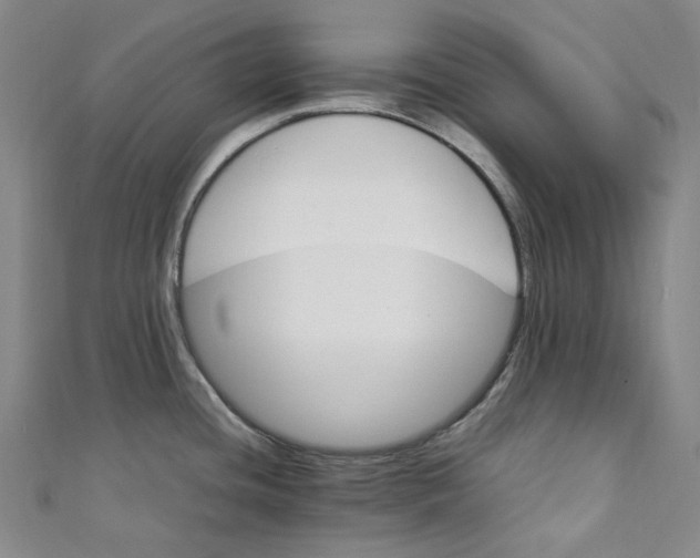 X0000111211436200907221142