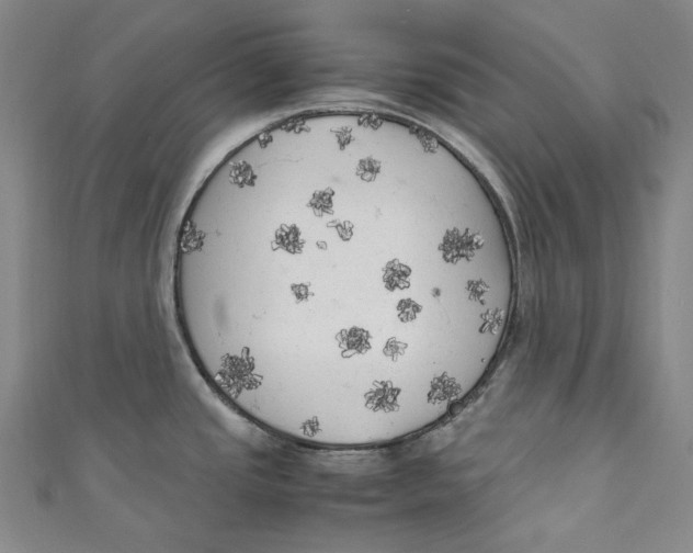 X0000111211437200907221142