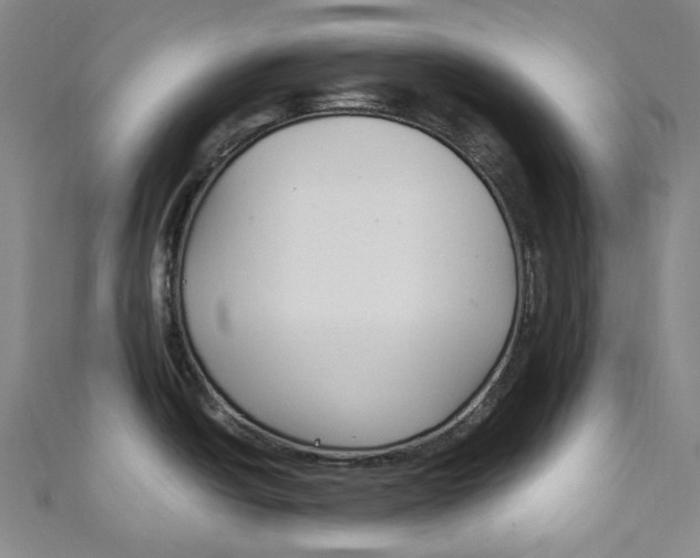 X0000111211438200907221142